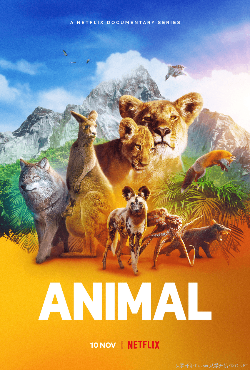动物本色 第一季 1080p + 动物本色 第二季 全8集 BT网盘下载 Animal S01+S02 (2021)  英语中字 - 第3张图片