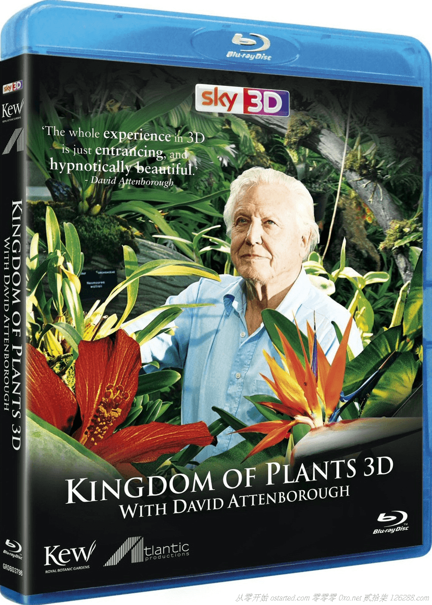 植物王国 1080p BT下载 Kingdom of Plants 3D (2012) 豆瓣高分纪录片 - 第2张图片