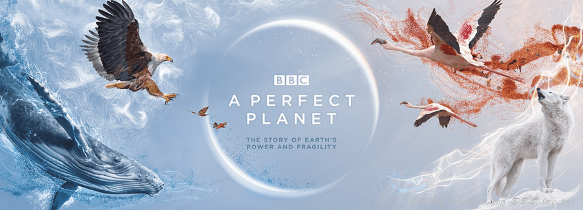 完美星球 1080p 全5集 BT下载 A Perfect Planet (2021) 4K 2160p 英语中字 - 第1张图片