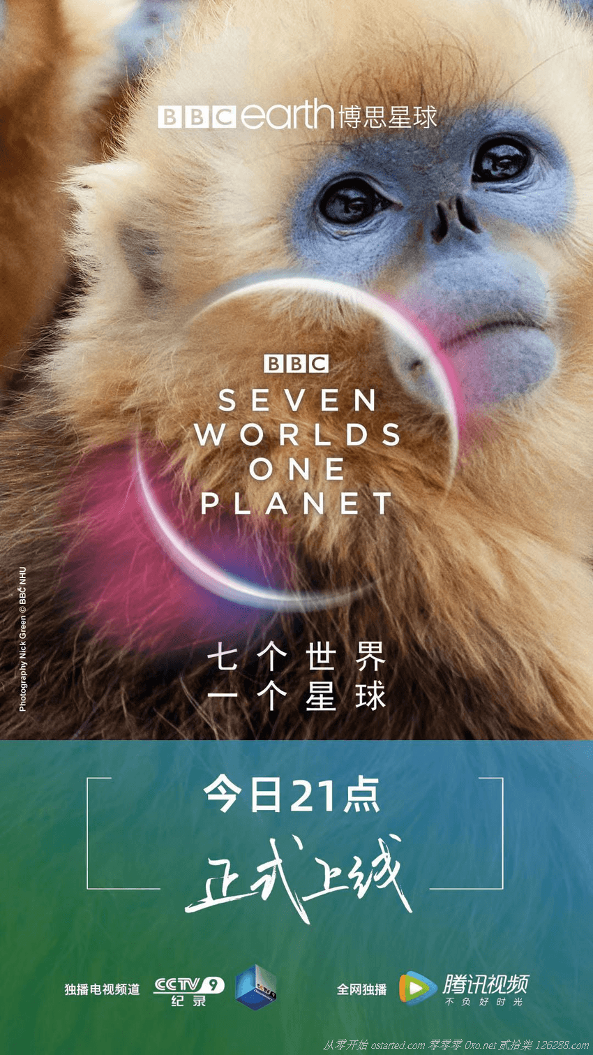 七个世界 一个星球 1080p BT下载 Seven Worlds One Planet 2019 4K 2160p 中英双字 全7集 - 第3张图片