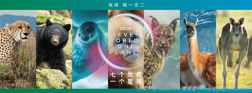 七个世界 一个星球 1080p BT下载 Seven Worlds One Planet 2019 4K 2160p 中英双字 全7集 - 第1张图片