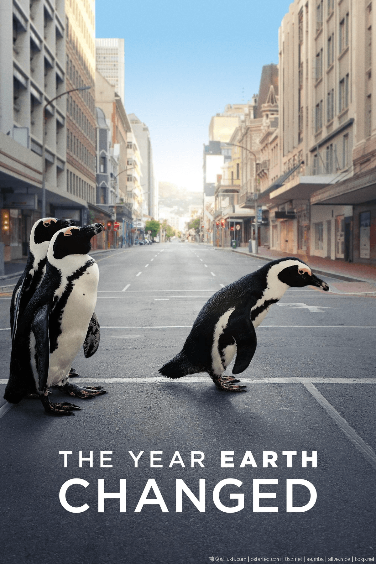 地球改变之年 4K The Year Earth Changed 1080p (2021) 英语中文字幕 - 第2张图片