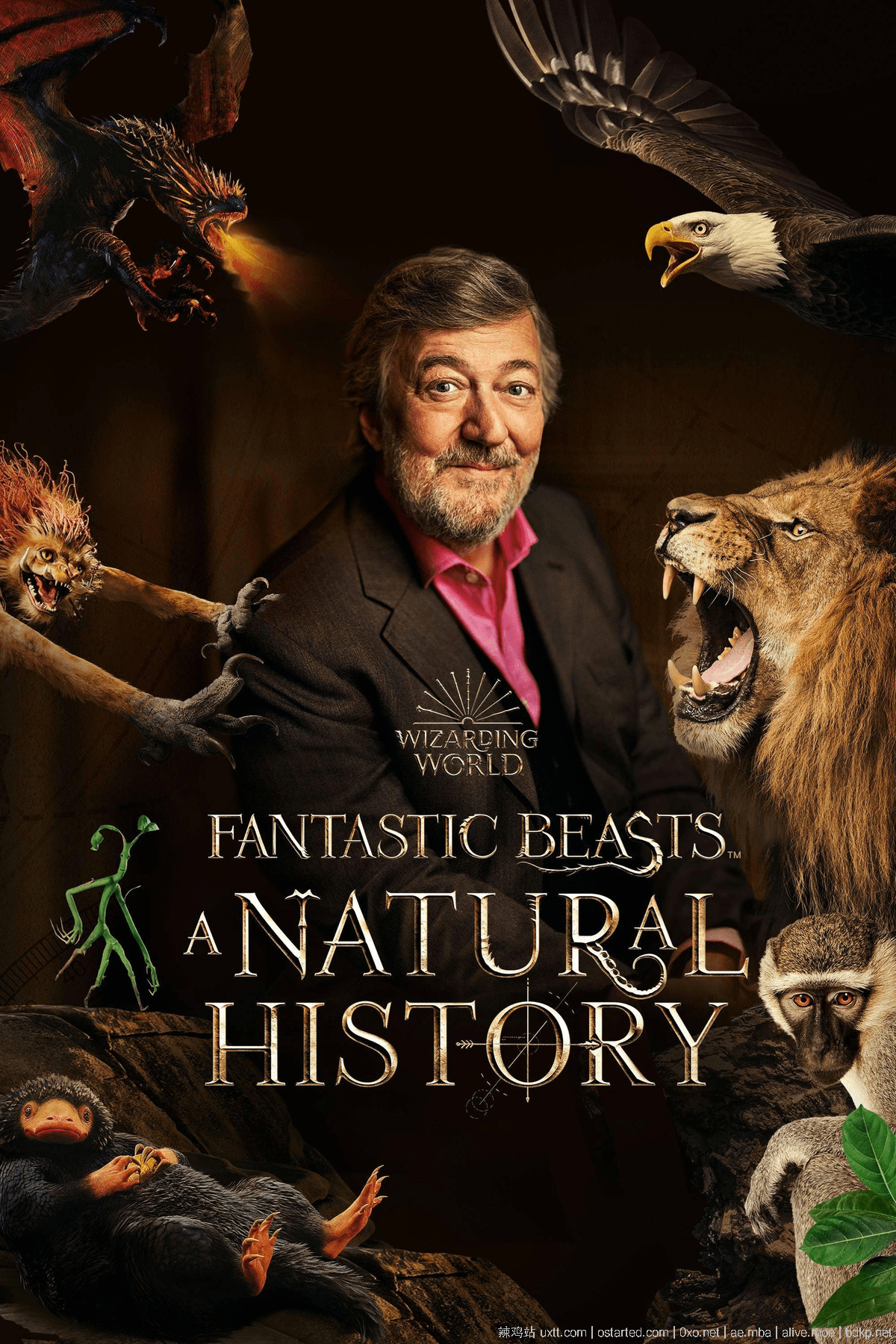 神奇动物：一段自然历史 1080p Fantastic Beasts: A Natural History (2022) 英语中文字幕 - 第2张图片
