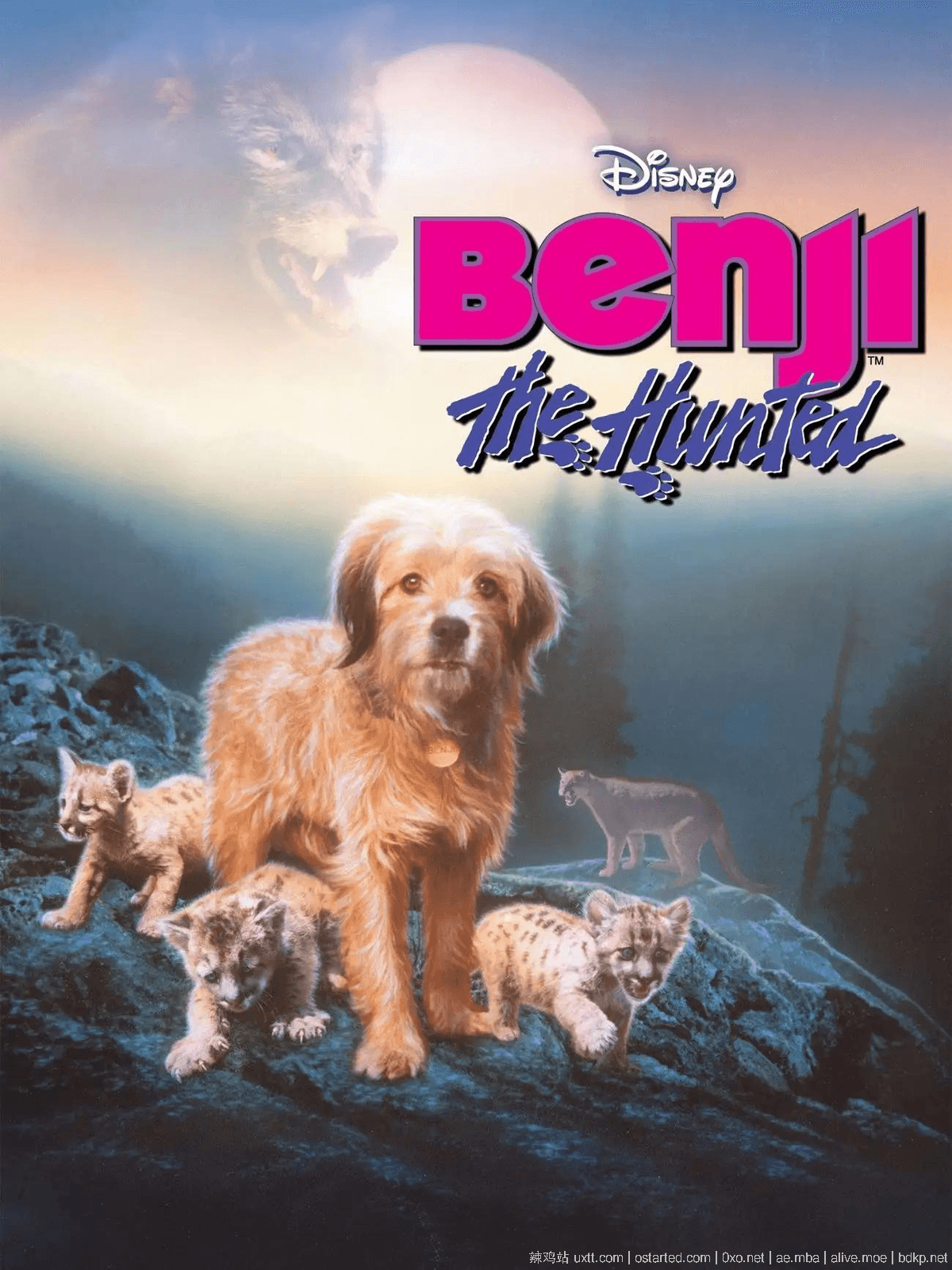 丛林赤子心 1080p BT下载 Benji the Hunted (1987) 英语中文字幕 - 第2张图片
