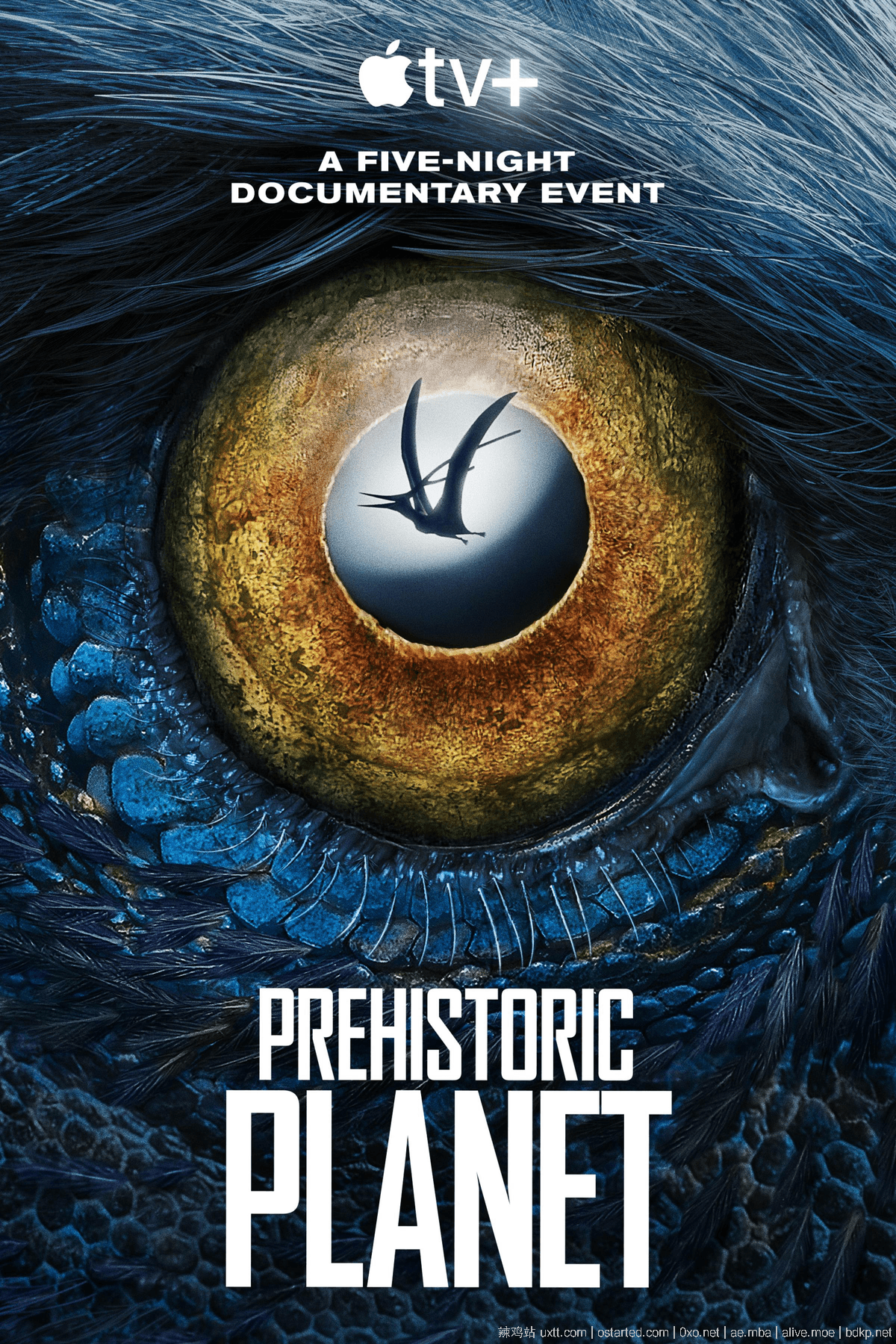 史前星球 4K 下载 第一季全5集 Prehistoric Planet S01 (2022) 1080p 英语中文字幕 - 第2张图片