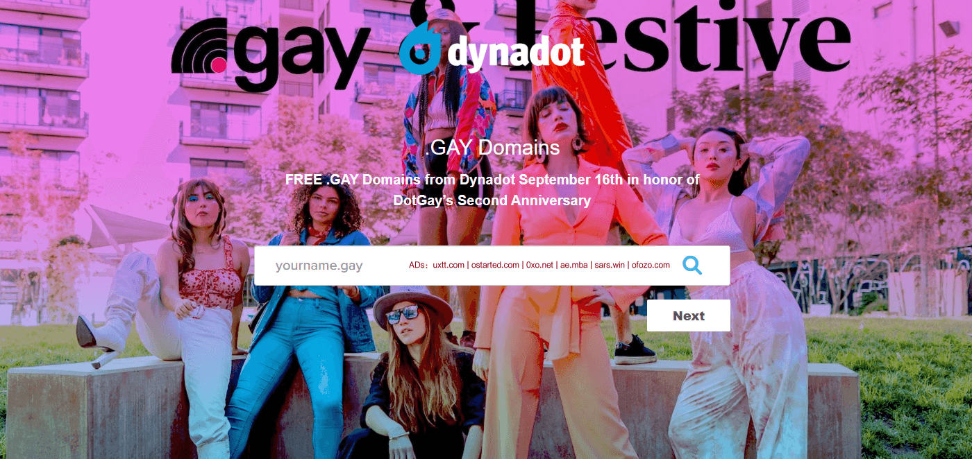 Dynadot 庆祝 DotGay 两周年免费送 .gay 域名一年 - 第1张图片