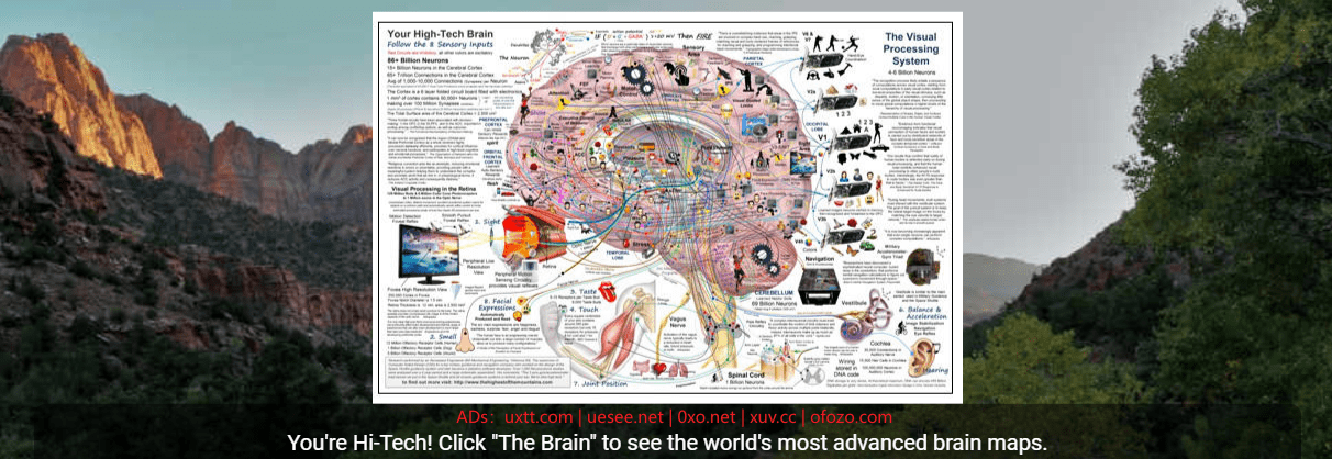人类大脑功能详细图解 高清PDF下载 - 第1张图片
