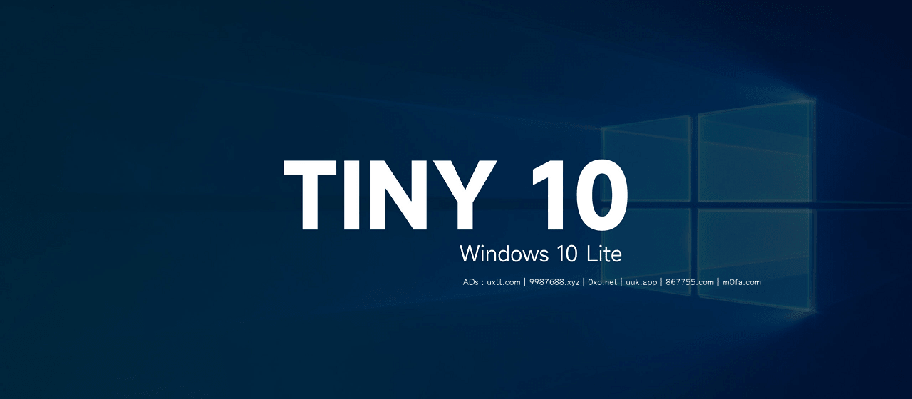 Win10 极限精简版 Tiny10 更新 2303：新增远程桌面等 - 第1张图片